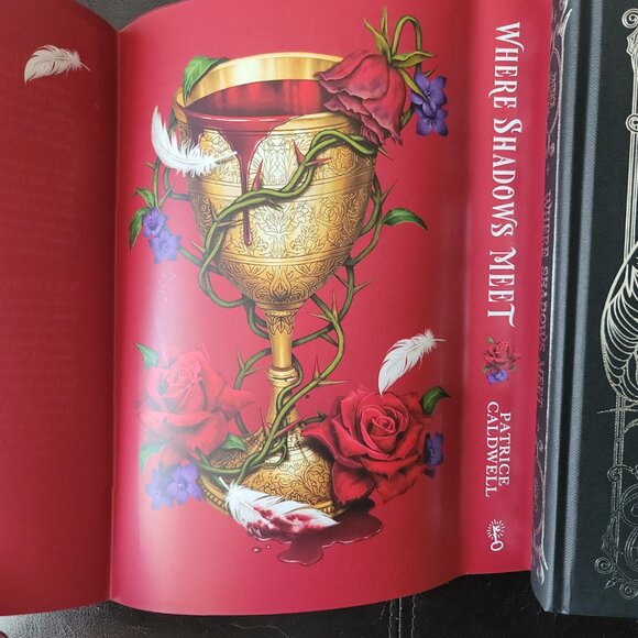 **NEW & SIGNED** Where Shadows Meet by Patrice Caldwell, Fairyloot,Bonus Chapter - Picture 6 of 14